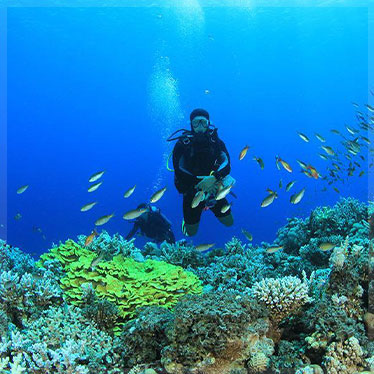 3 Day Diving
