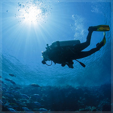 4 Day Diving