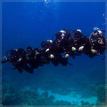 5 Day Diving