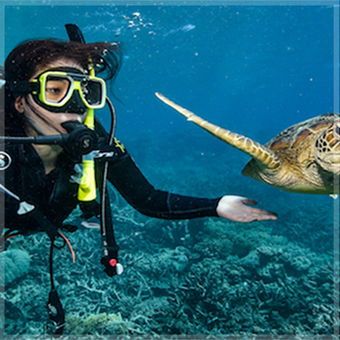 6 Day Diving