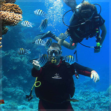 PADI Scuba Review hurghada