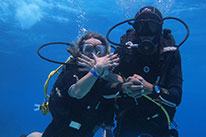 1 Day Dive Package