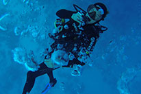 1 Day Dive Package