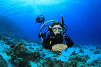 2 Days Dive Package