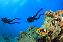 2 Days Dive Package