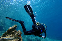 2 Days Dive Package