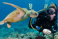 3 Days Dive Package