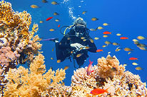 3 Days Dive Package