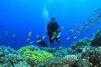 3 Days Dive Package