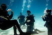 3 Days Dive Package