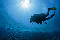 4 Days Dive Package