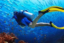 4 Days Dive Package