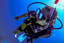 5 Days Dive Package
