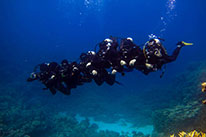 5 Days Dive Package