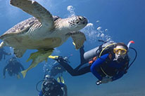 5 Days Dive Package
