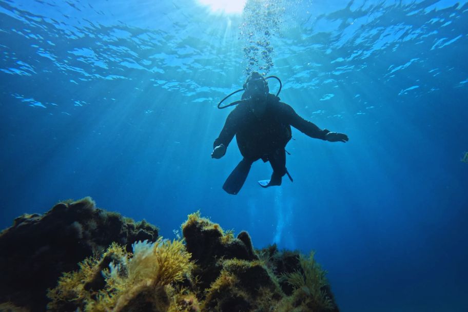 discover scuba diver