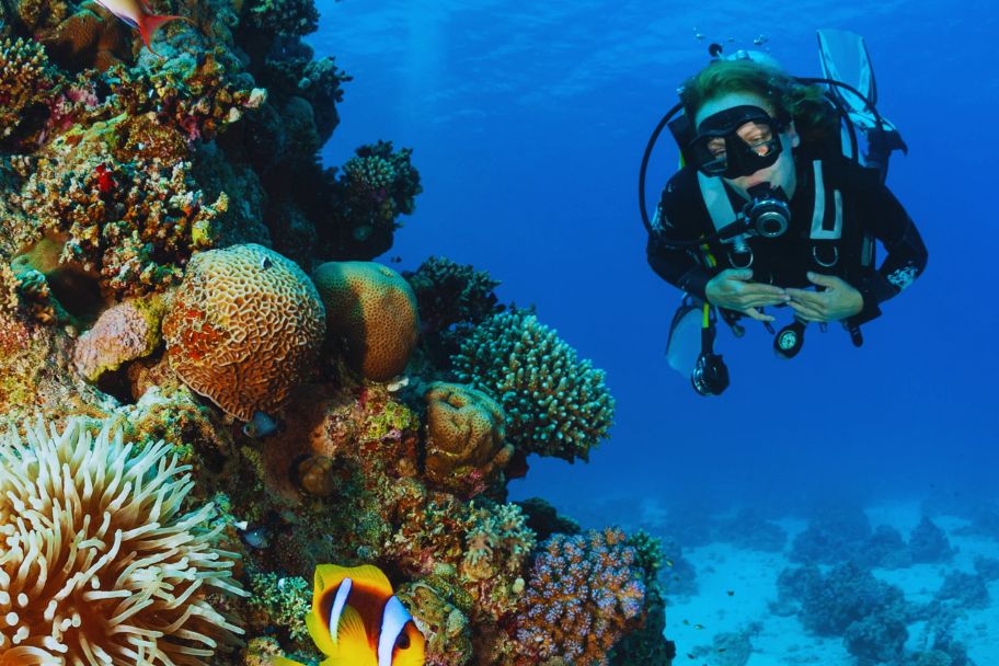 discover scuba diver