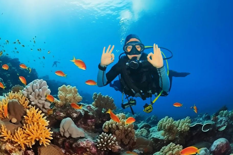 discover scuba diver