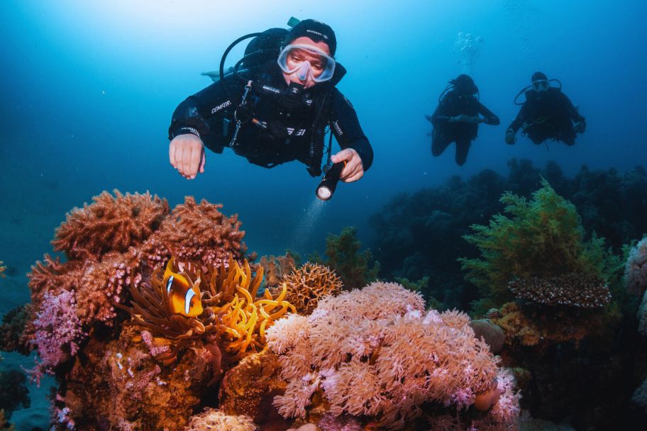 open-water-dive-course
