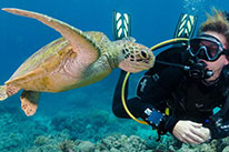 discover scuba diver
