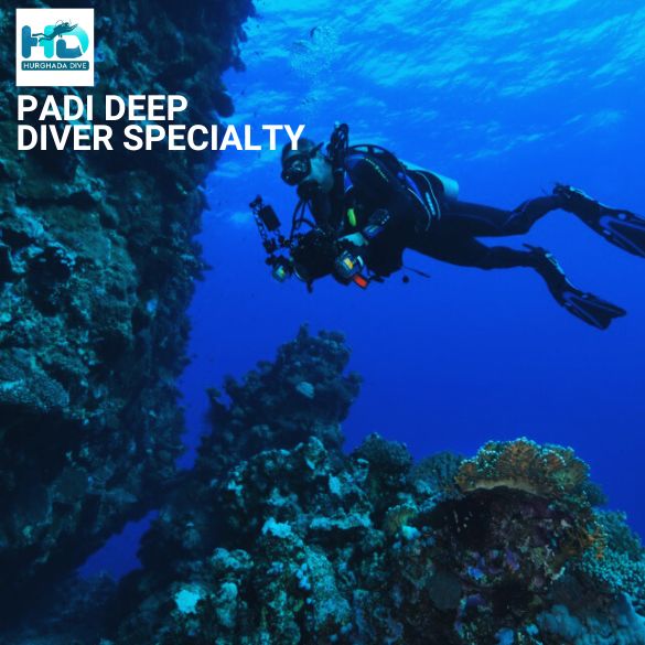 PADI Deep Diver Specialty Course