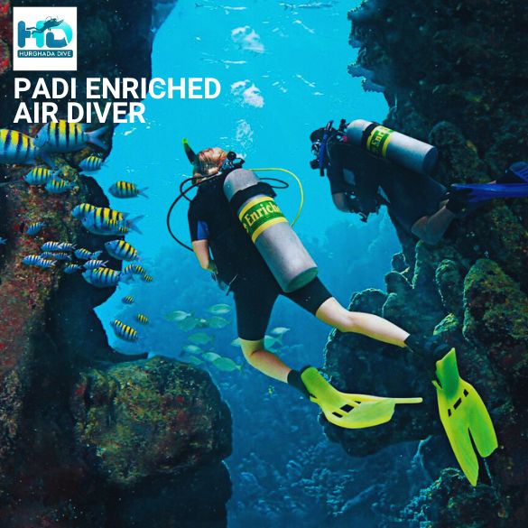 PADI Enriched Air Diver (Nitrox)