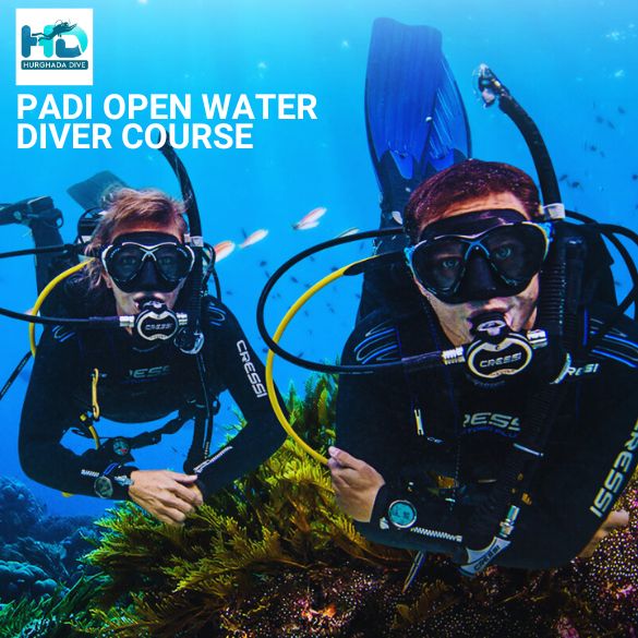 PADI Open Water Course
