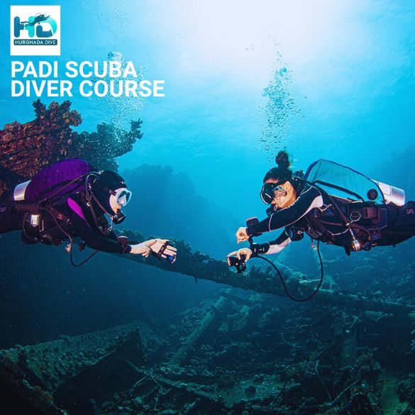 over night dive